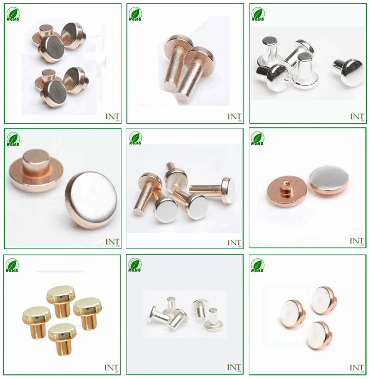 China Factory High Quality Electrical Contact Rivet